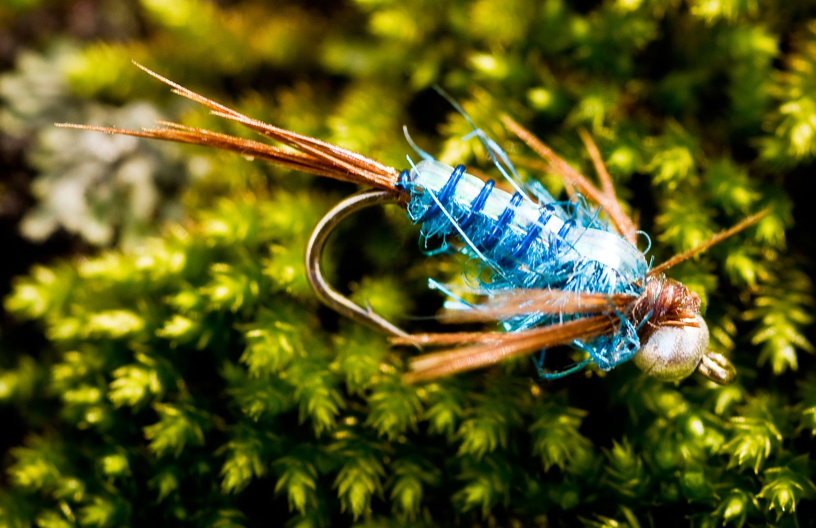 Stratergizing: Utilizing Attractor Nymphs In Your Winter Fishing - SCOF -  Southern Culture on the Fly