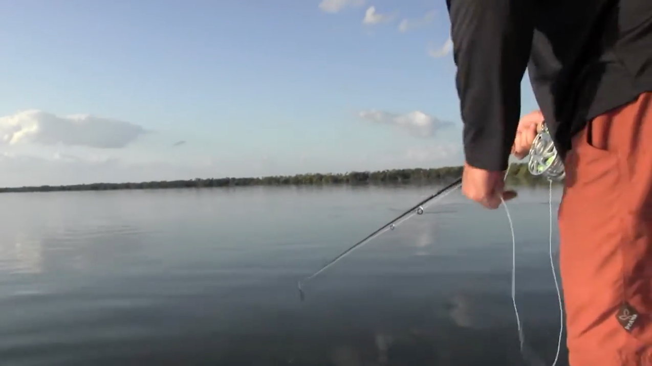 Moving Pictures: Dave and Ryan Go Tarpon Fishing