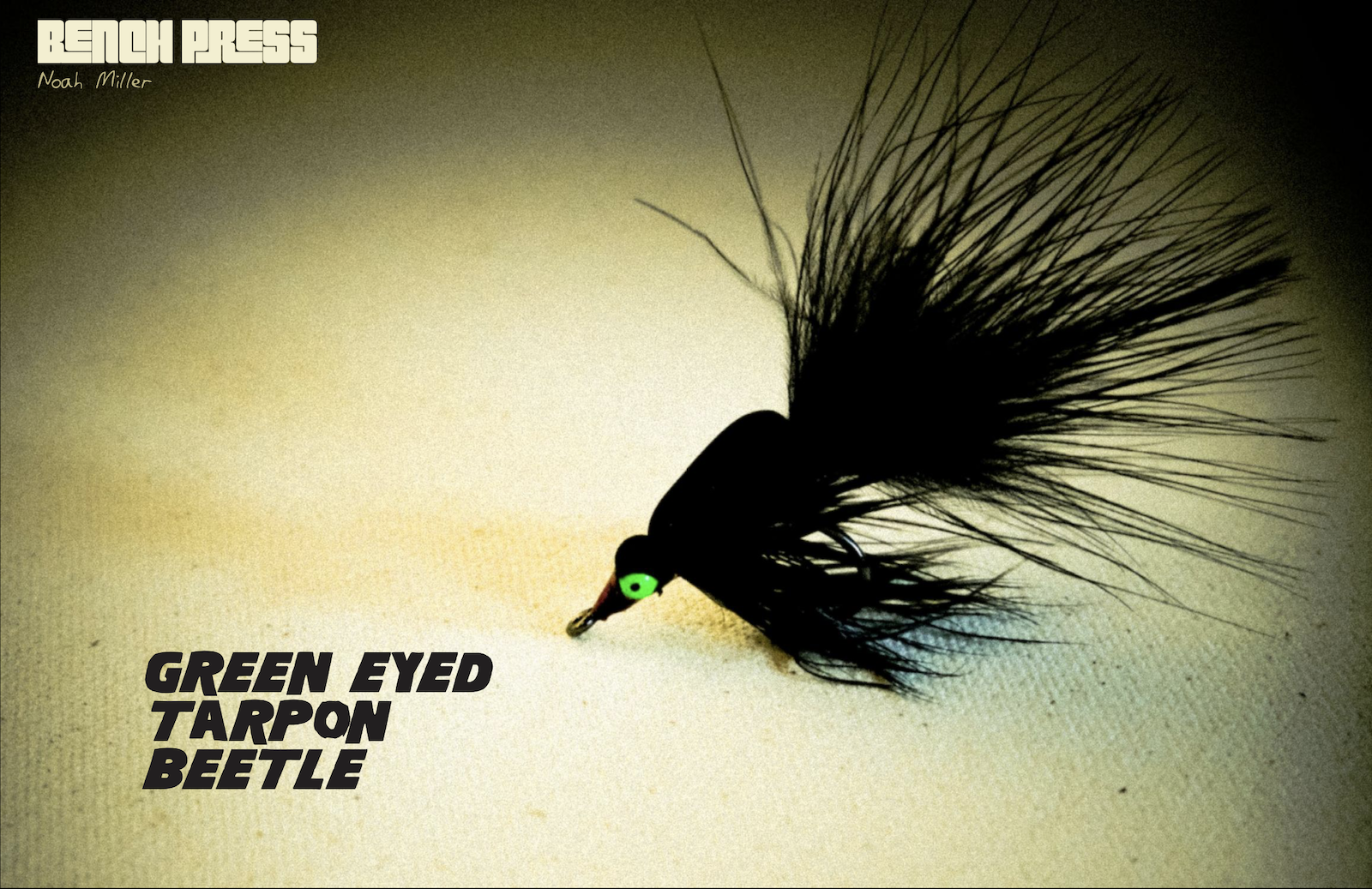 Green-eyed Tarpon Beetle