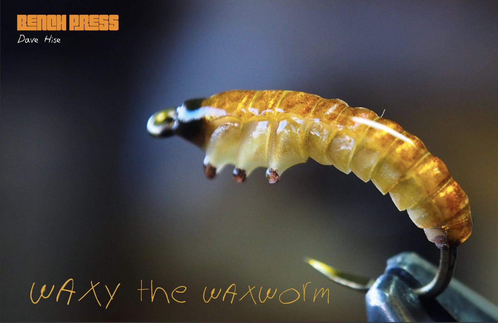 Waxy the Waxworm