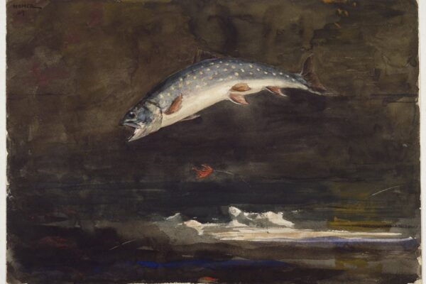 Winslow_Homer_-_Jumping_Trout_(1889)